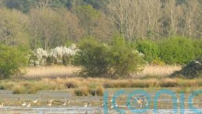 Keep up pressure to ensure landscape recovery scheme remains – conservationist