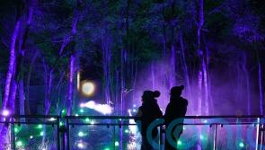 Enchanted Forest returns to offer ‘magical experience’ after two-year hiatus