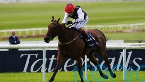 Homeless Songs takes on Saffron Beach in Sun Chariot