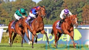 Luxembourg drawn in stall eight as 20 tackle Arc challenge