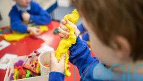 Children with special needs ‘left in limbo’ over assessment delays, TD warns
