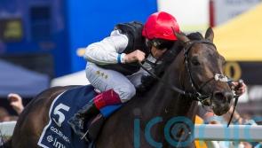 Oppenheimer remembers Golden Arc moment for Horn