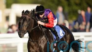 Educator has to settle for second as the King’s first runner