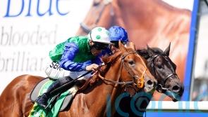 Meehan plotting Dewhurst date for Isaac Shelby