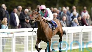 Beckett bags Salisbury treble ahead of big weekend in France