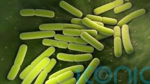 Five cases of E.coli confirmed in South Lanarkshire