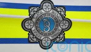Gardai probe after car crashes through gates of Sinn Fein TD's home