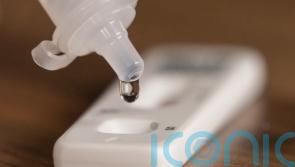 Scotland’s Covid infection levels remain highest in UK, figures show