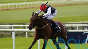 Songs and Saffron set for Sun Chariot rematch