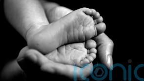 Review into increased neonatal death rates announced