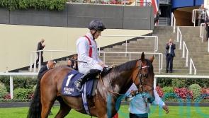 Hamish lifts Lodge honours with ease at Ascot