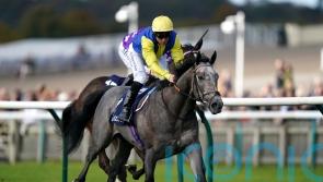 Amichi seals sales race double at Newmarket