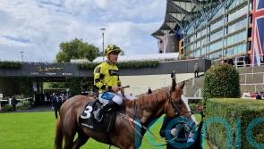 Manaccan untroubled by ground in Rous Stakes success