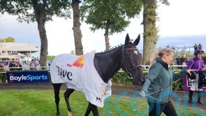 Easy Game fends off Kemboy for Gowran glory