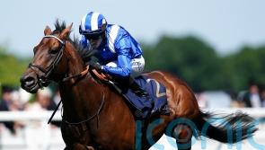 Baaeed pleasing ahead of Champion Stakes farewell