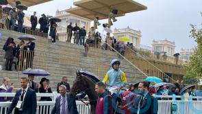 Belbek swoops late for Lagardere honours