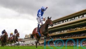 Blue Rose Cen blossoms in Boussac for Christopher Head