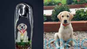 Artist used eyelash to paint puppy sculpture in the eye of a needle