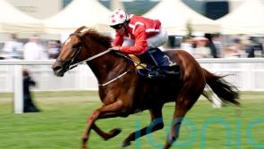Dirty scope puts Saffron Beach Breeders’ Cup plan on hold