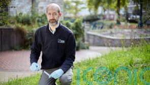 Natural History Museum creates gardens to study how wildlife reacts to climate