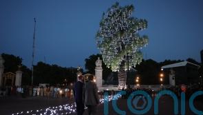 Trees from Platinum Jubilee sculpture to be planted across UK in honour of Queen