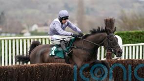 My Drogo unlikely to be back before spring