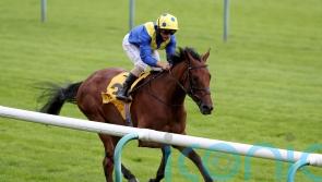 Favourite Moon set for Newmarket return in Cesarewitch