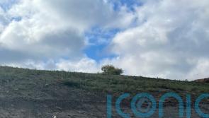 Planetary rover destined for moon or Mars tested in Milton Keynes quarry