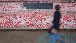 Covid-19 deaths remain on downwards trend despite rise in infections