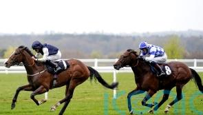 Evans confident Rohaan can mix it on Champions Day