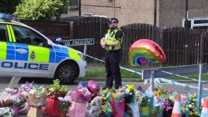 Quadruple killer admits manslaughter of mother and three children