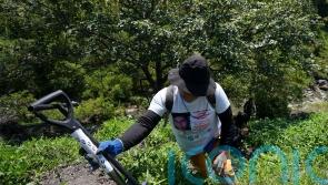 Another activist searching for disappeared child killed in Mexico