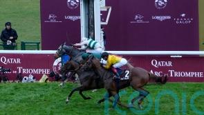 Torquator Tasso retired after third-place Arc finish