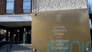 Unemployment rate remains steady as labour market ‘holds its nerve’