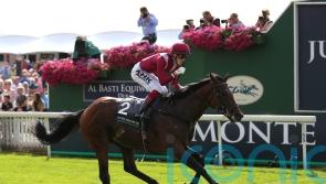 Breeders’ Cup remains under consideration for Mishriff