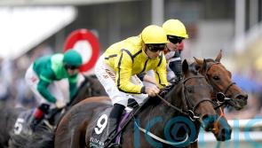 All systems go for Perfect Power on Champions Day