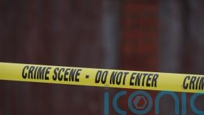 Man arrested as part of investigation into murder of council worker