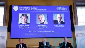 Nobel Prize for chemistry goes to trio for work on molecule attachment