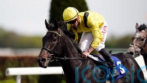 Haggas still harbouring Champions Day hopes for Maljoom