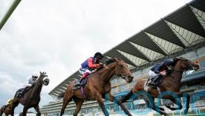 First Receiver carries the King’s colours to victory at the Horse of the Year Show