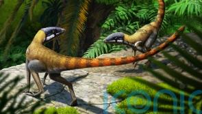 Fossilised cat-sized reptile found in Scotland was ‘early relative of pterosaurs’