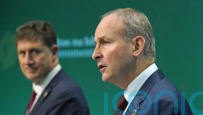 ‘No time to lose’ on sustainable development goals, says Micheal Martin
