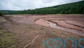 Climate change made ‘summer drought 20 times more likely in Northern Hemisphere’