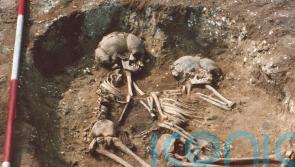 DNA from skeletons ‘challenges perceptions and understanding of ancient England’