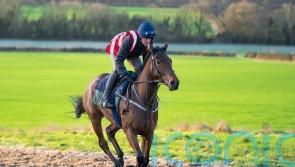Racing charities to benefit from new ownership initiative