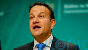 Tanaiste says house prices likely to fall given rising cost of living