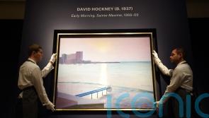 David Hockney painting pictured ahead of first public sale in more than 30 years