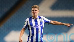 George Byers and Mark McGuinness set to return for Sheffield Wednesday