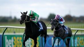 Pogo is Breeders’ Cup-bound after rising to Newmarket challenge