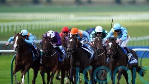 Rumstar keeps Portman’s perfect Cornwallis record intact